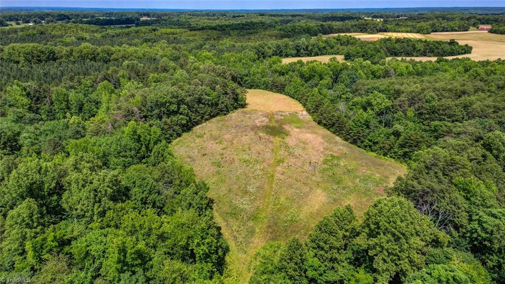 0 Blanch Road Blanch, NC 27212 - Photo 9 of 17