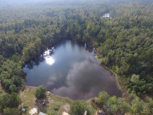 357 Sandy Springs Road Trenton, SC 29847 - Photo 3 of 3 Gallery Image 3