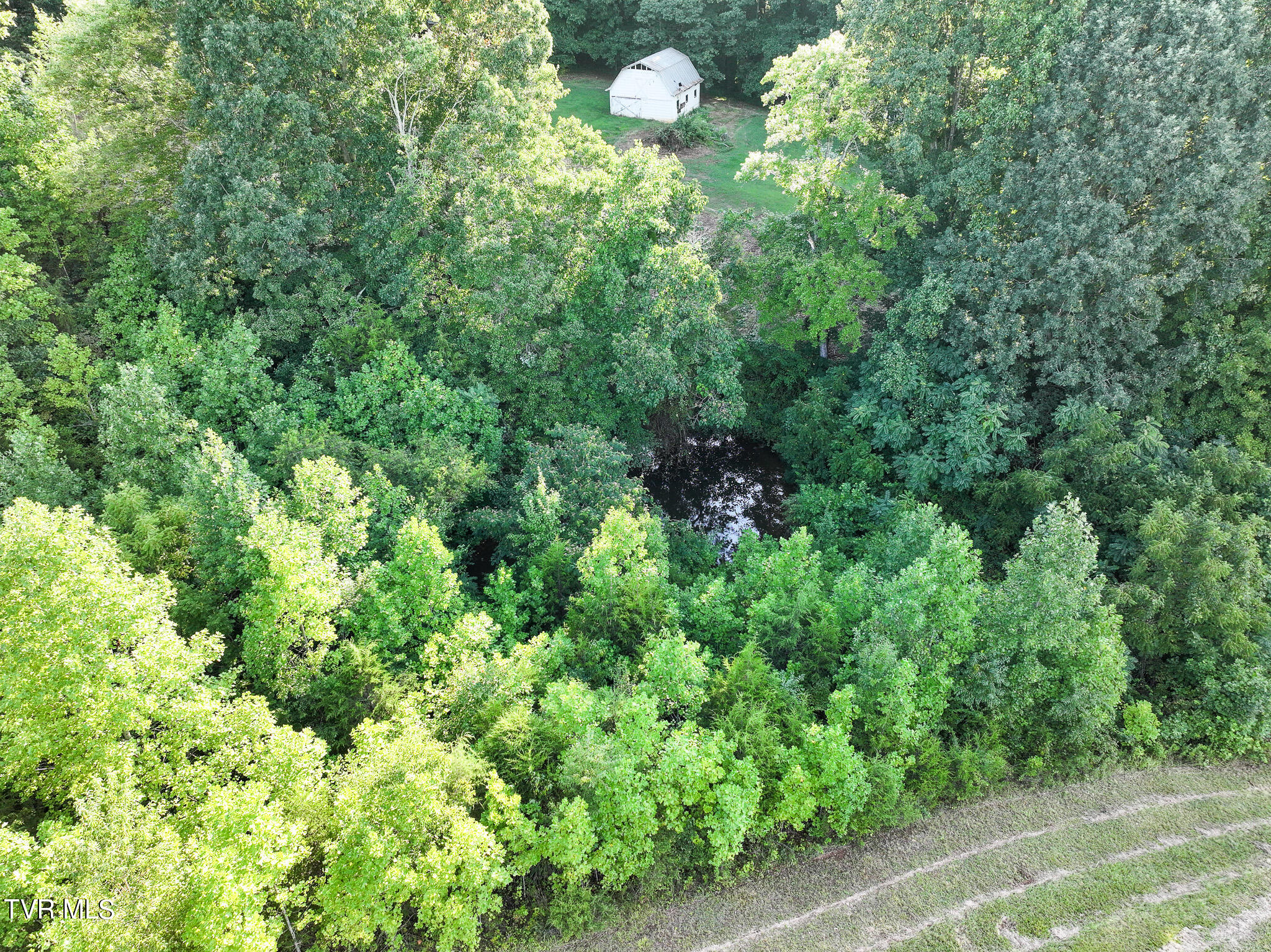 Lot 3 Oss Williams Road, Unit 3 Limestone, TN 37681 - Photo 21 of 30 21