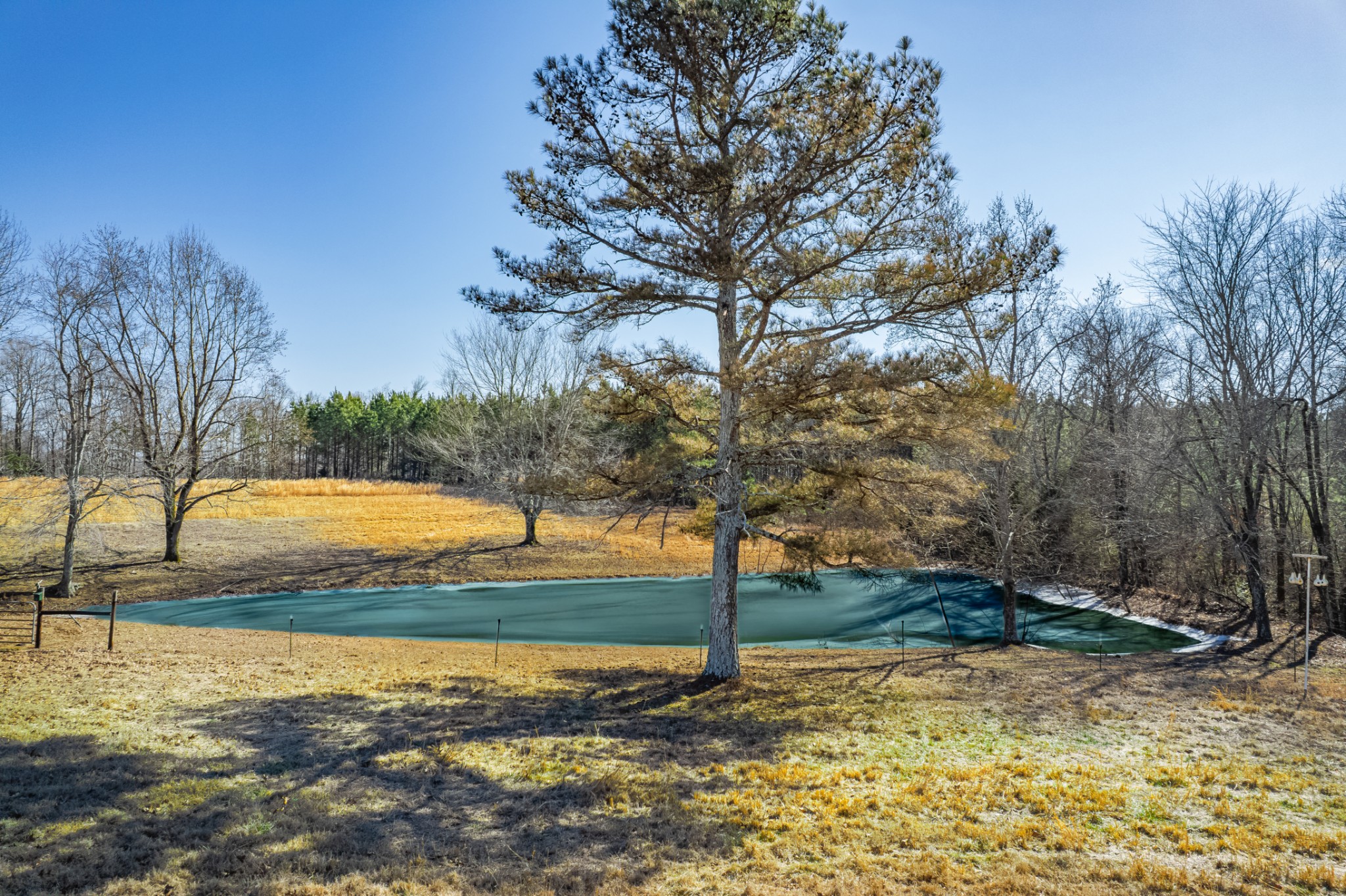 1825 Powell School Road Goodspring, TN 38460 - Photo 73 of 100