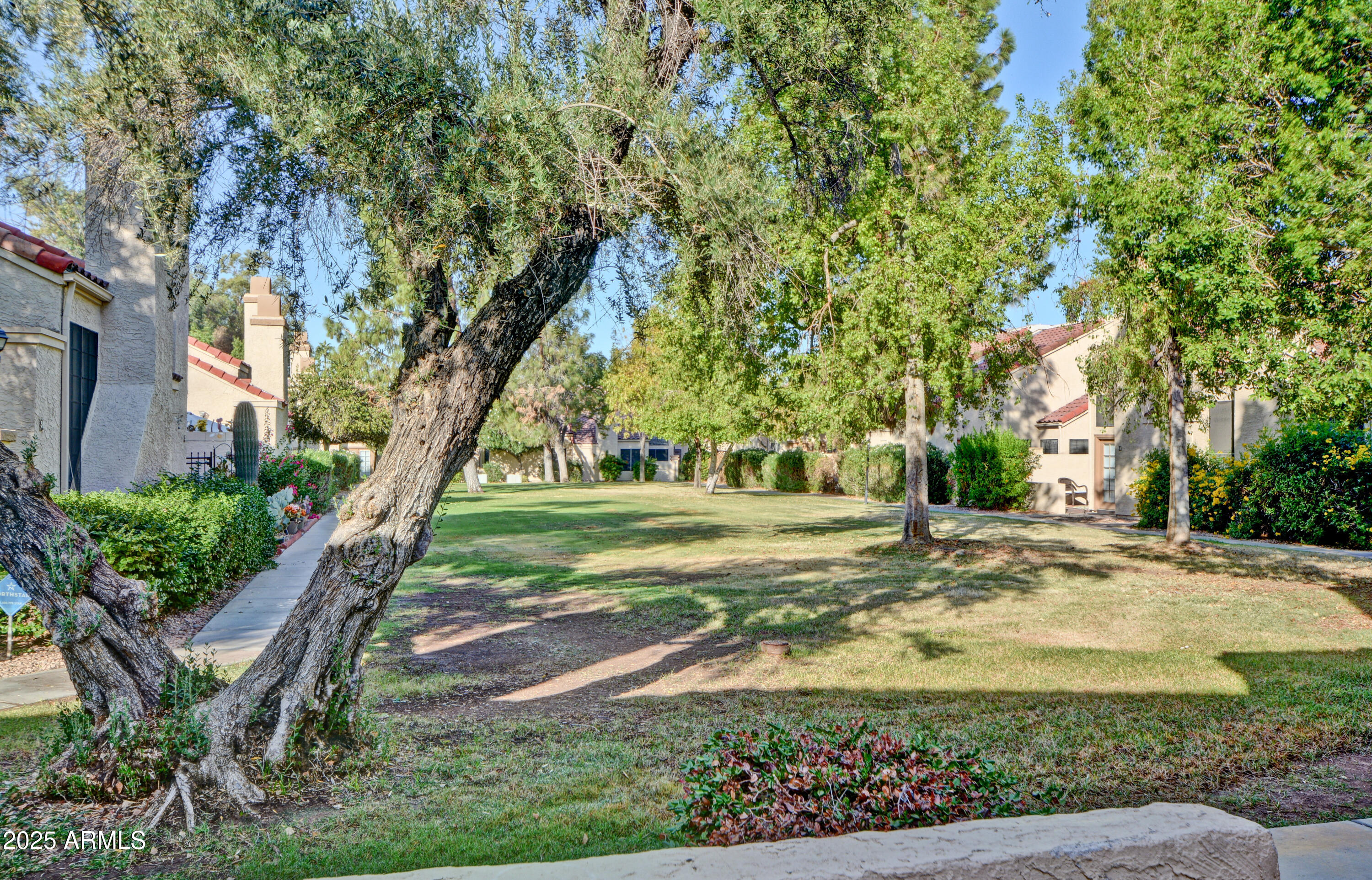 602 North May, Unit 17 Mesa, AZ 85201 - Photo 6 of 39 a view of a yard with plants and trees