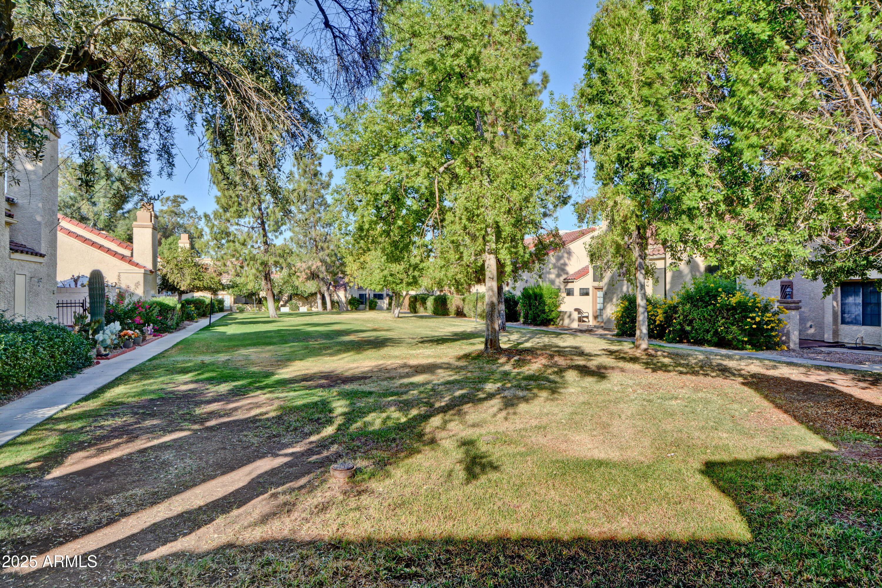 602 North May, Unit 17 Mesa, AZ 85201 - Photo 7 of 39 a view of a tree with yard