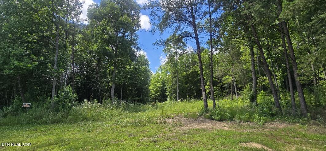 925 Anderson Hollow Road Huntsville, TN 37756 - Photo 7 of 9 20260615_145816