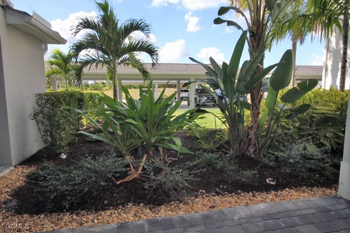 43997 Boardwalk Loop, Unit 1816 Punta Gorda, FL 33982 - Photo 17 of 44 a plant with a tree in front of it