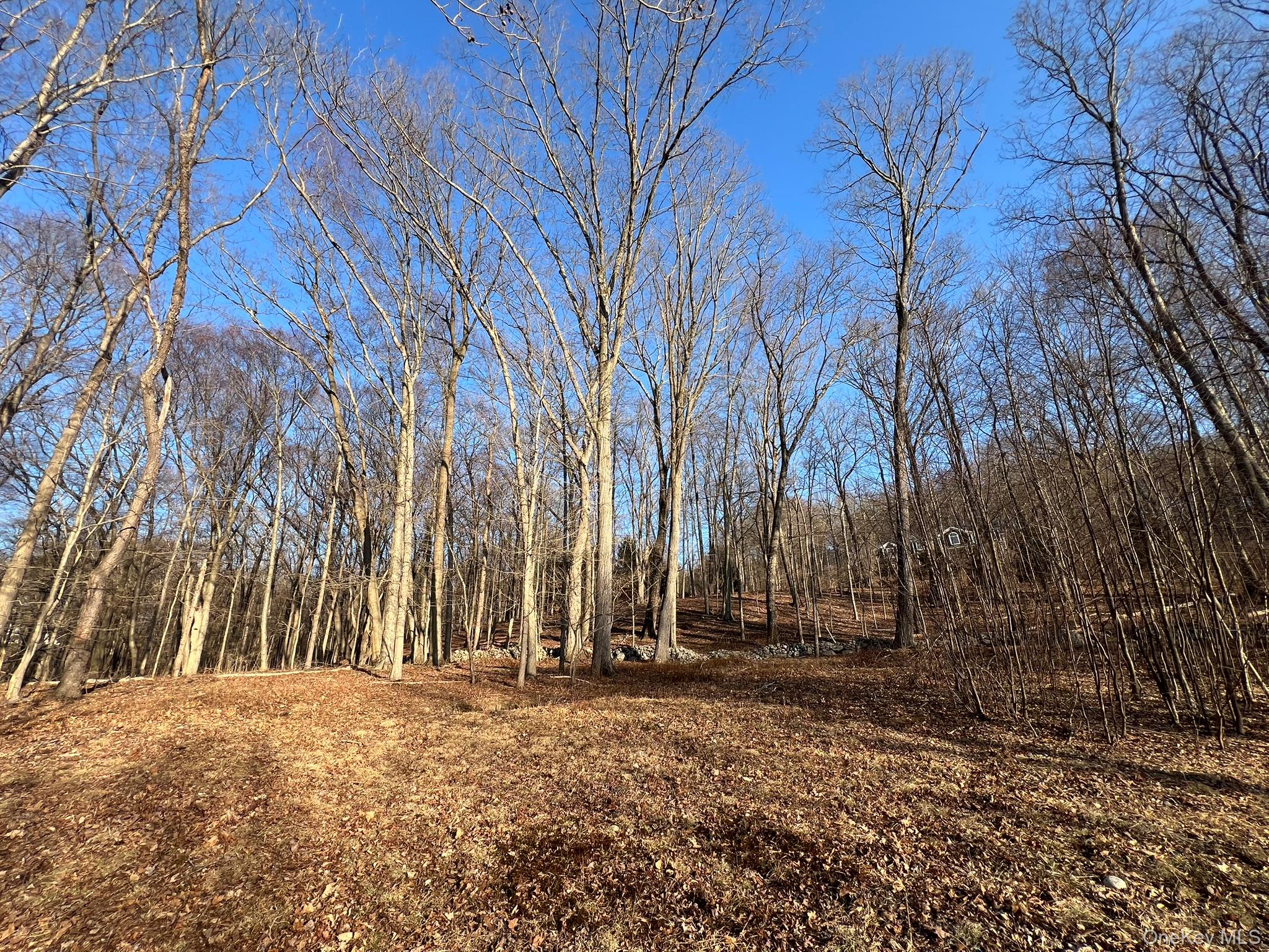 52 Justins Way Garrison, NY 10524 - Photo 2 of 5 a backyard of a house with lots of green space