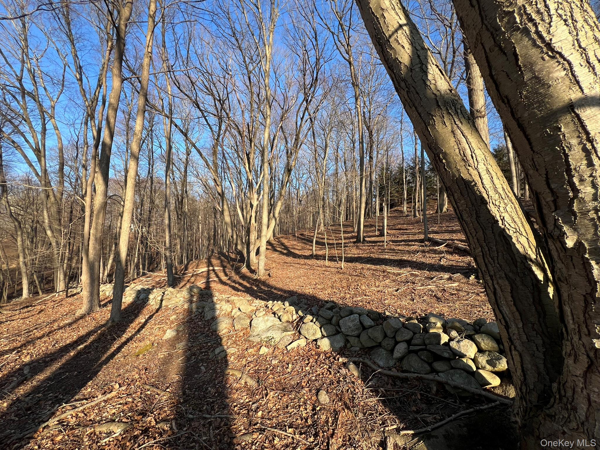 52 Justins Way Garrison, NY 10524 - Photo 3 of 5 a view of a yard with large trees