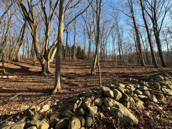 a view of outdoor space with lots of trees