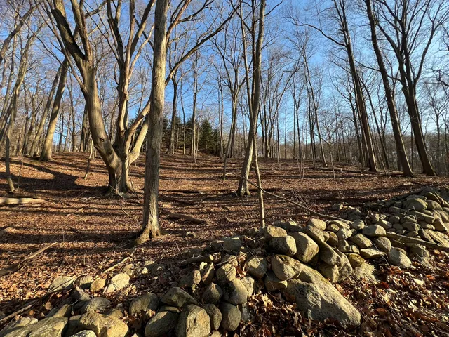 a view of outdoor space with lots of trees