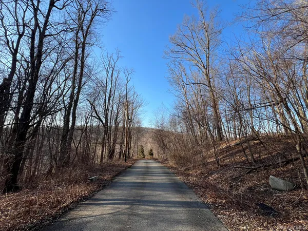 a view of pathway and trees