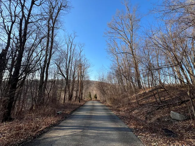 a view of pathway and trees