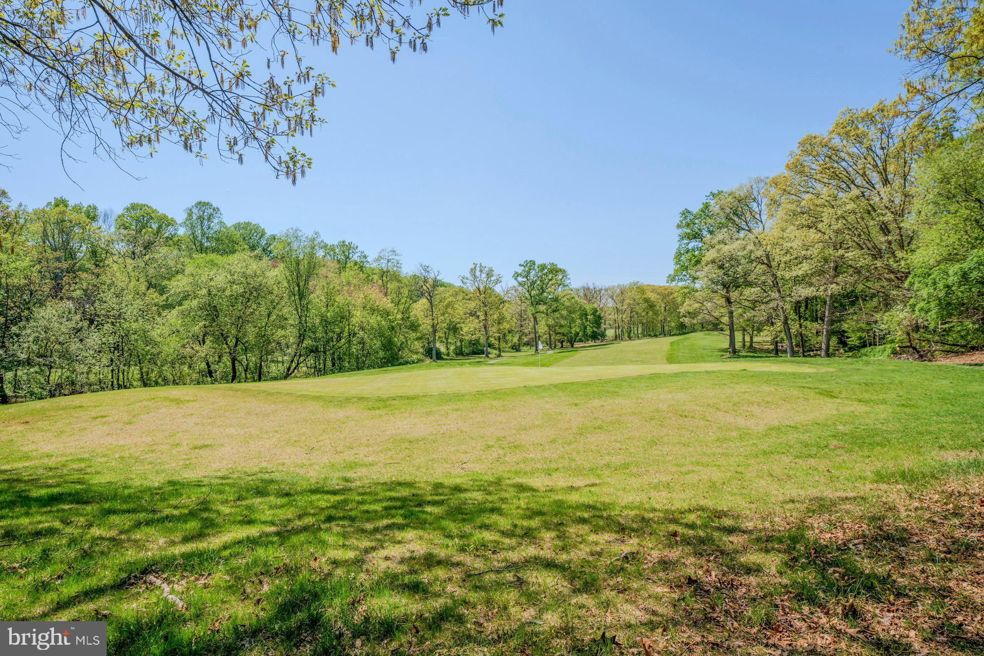 11310 Harborside Cluster Reston, VA 20191 - Photo 60 of 71 Home backs to Golf Course.