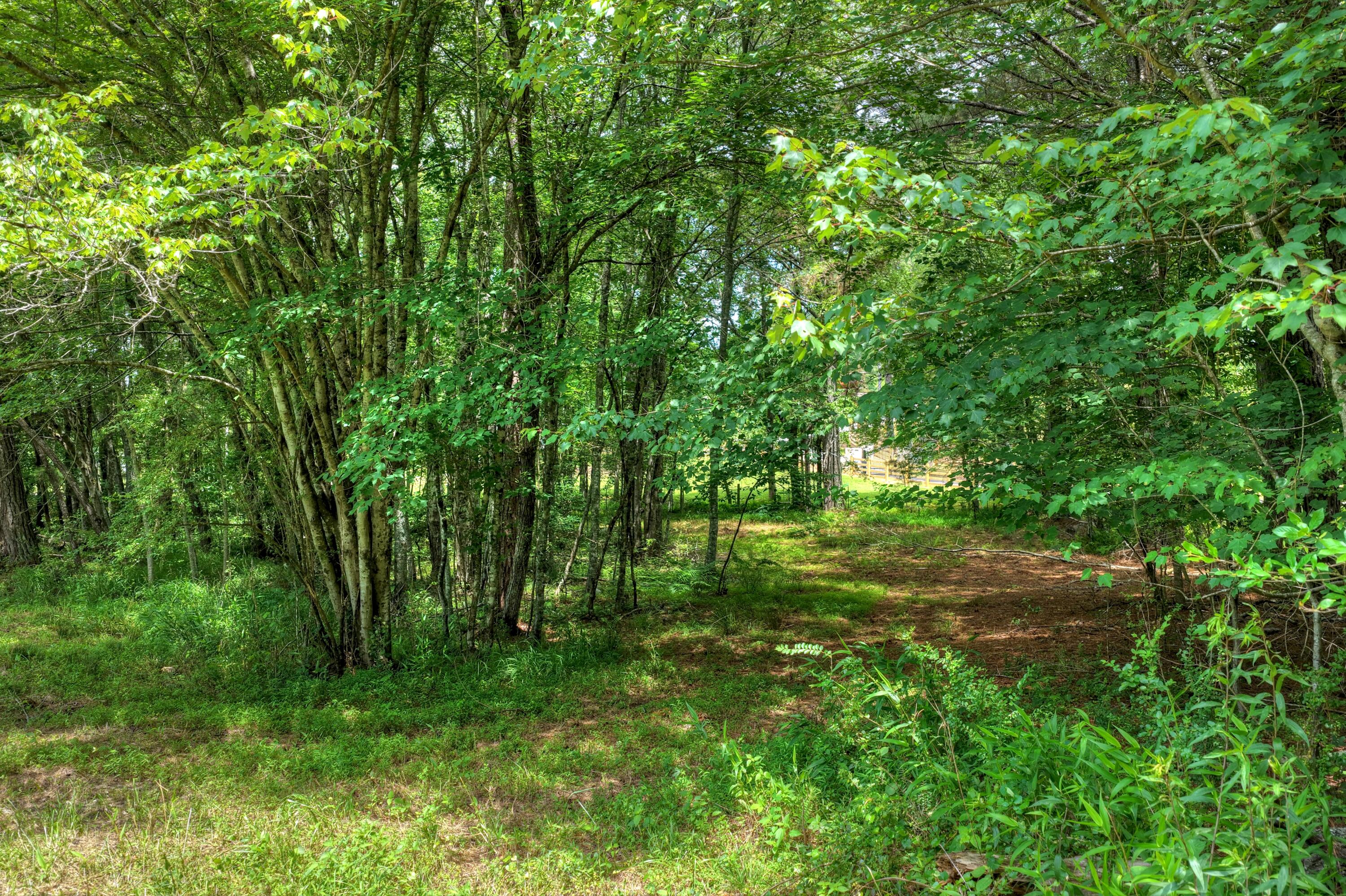 526 Airport Road Copperhill, TN 37317 - Photo 23 of 28 Airport Rd Byrd Property (22)