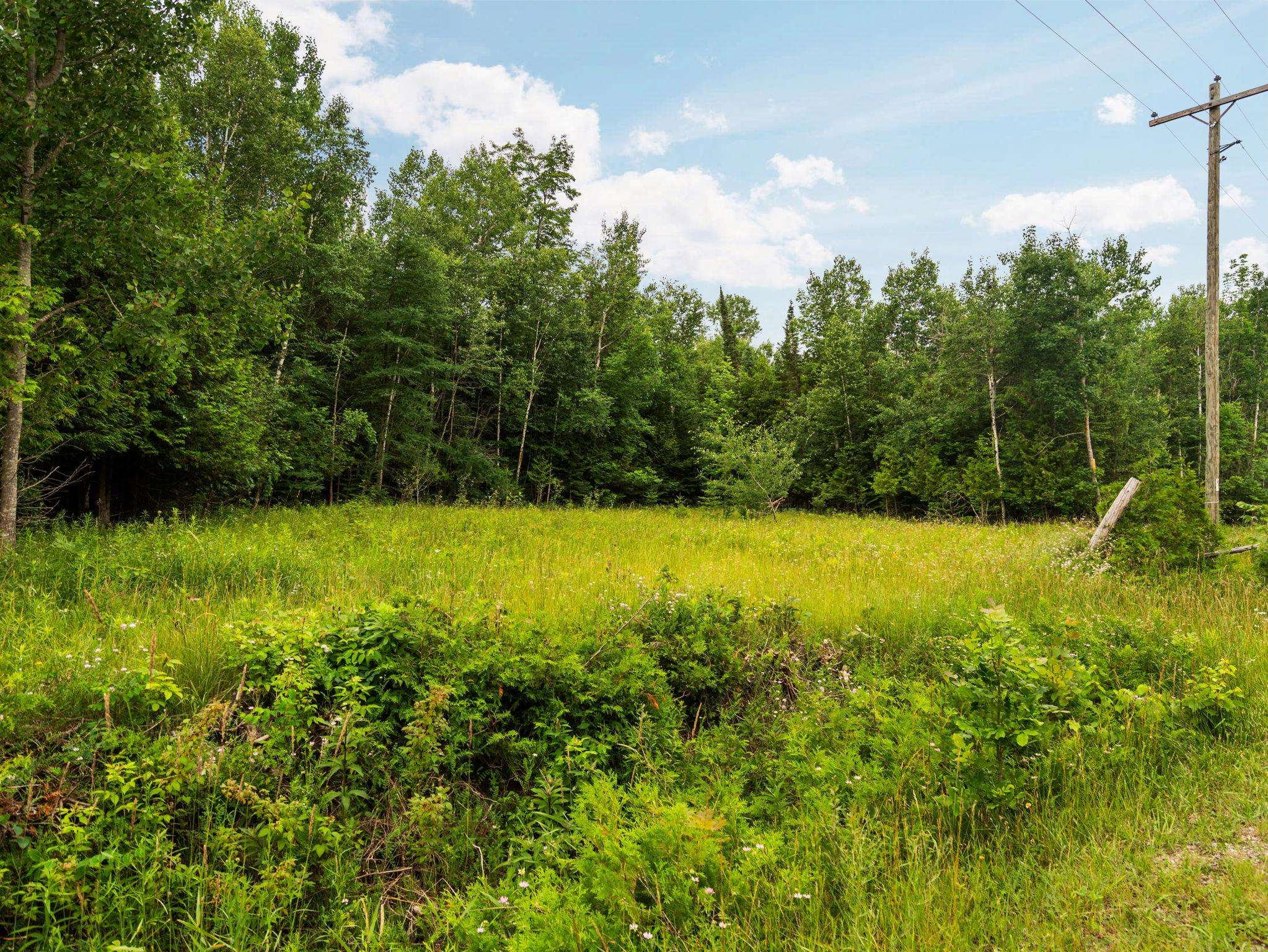 0 Creswell Road Kewadin, MI 49648 - Photo 10 of 16