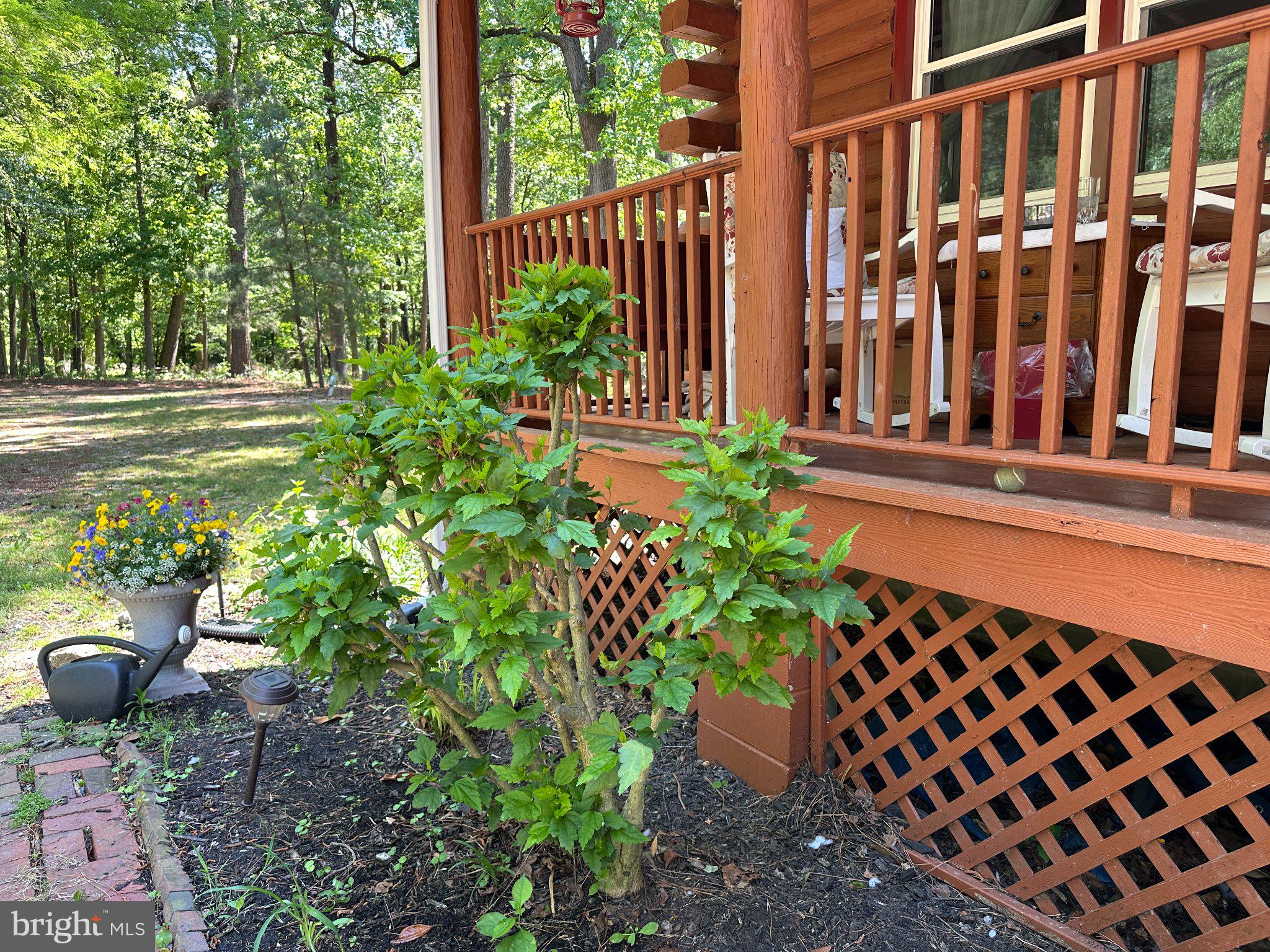 28407 Old Eden Road Eden, MD 21822 - Photo 35 of 48 a view of a back yard of the house