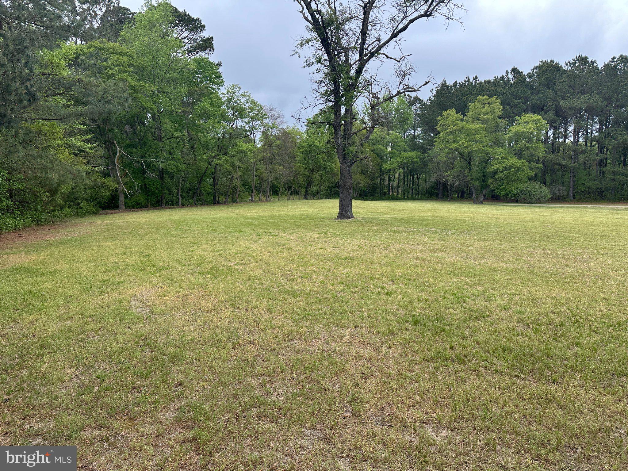 28407 Old Eden Road Eden, MD 21822 - Photo 43 of 48 a view of a field with a tree