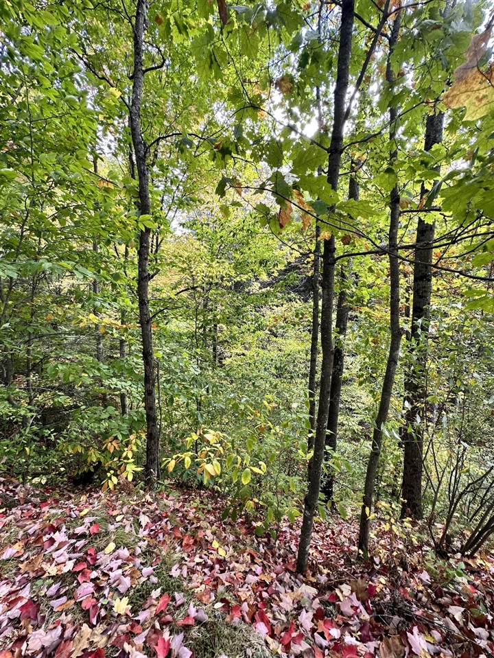 00 South 5 1/2 Mile Road Luther, MI 49656 - Photo 4 of 5
