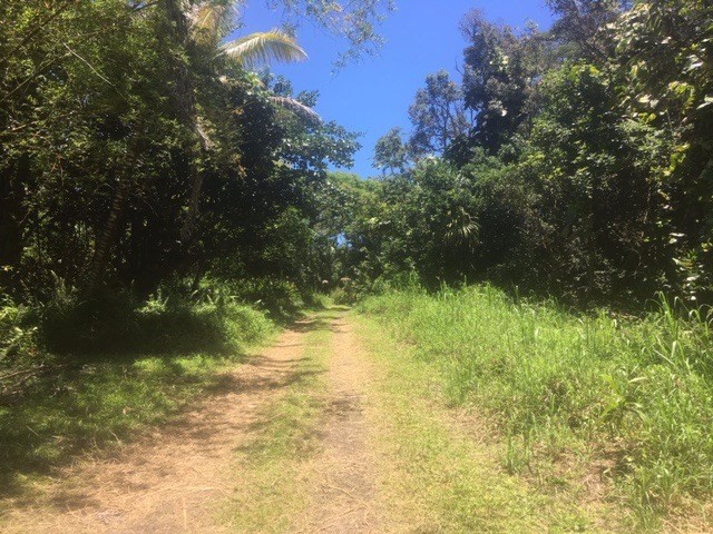 20 Sadilek Road Pahoa, HI 96778 - Photo 3 of 12