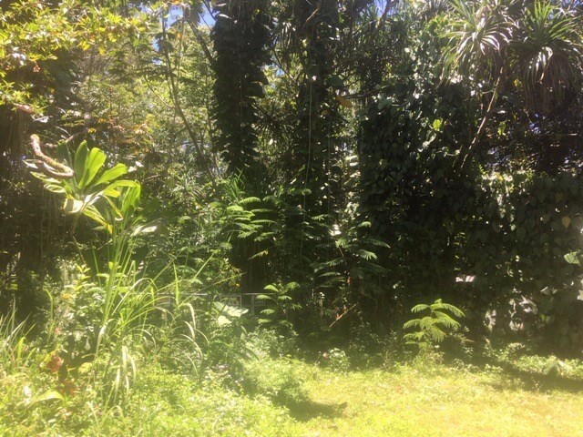 20 Sadilek Road Pahoa, HI 96778 - Photo 4 of 12