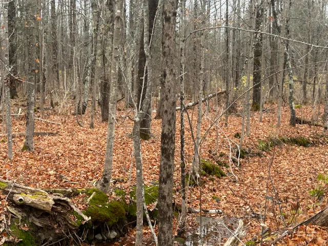 $49,500 | M10-l 7a Higgins Road, Pittsfield, ME 04967