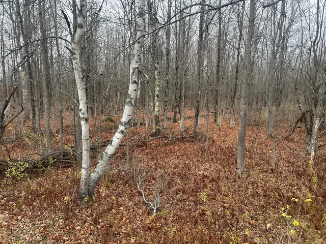 $49,500 | M10-l 7a Higgins Road, Pittsfield, ME 04967