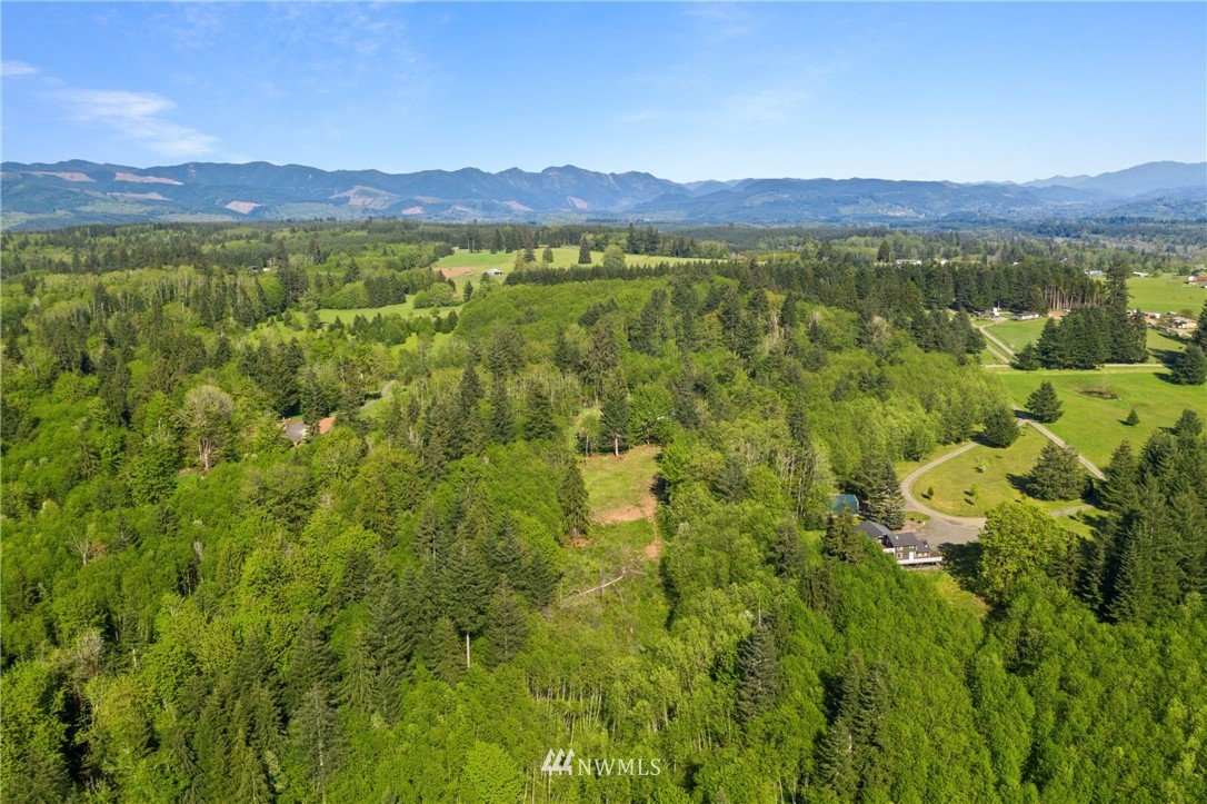 197 Smokey Ridge Road Onalaska, WA 98570 - Photo 17 of 25 Gallery Image 17