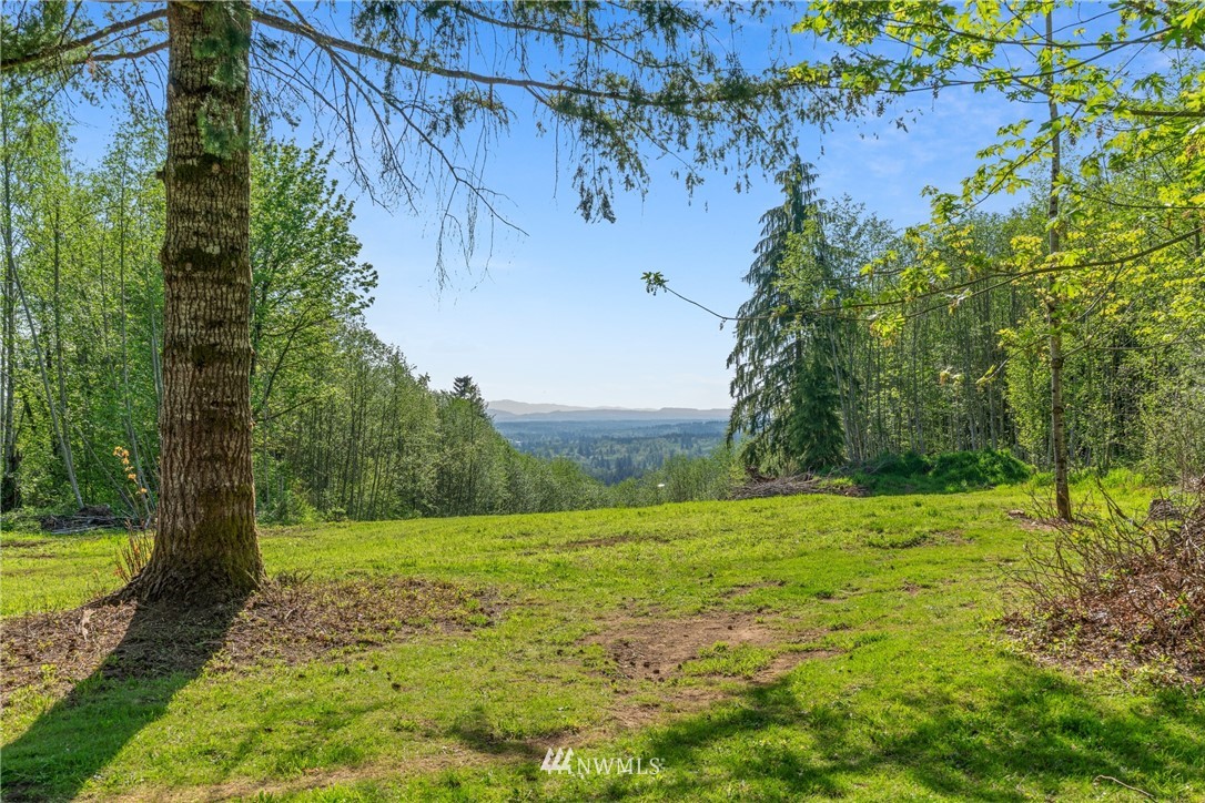 197 Smokey Ridge Road Onalaska, WA 98570 - Photo 4 of 25 Gallery Image 4