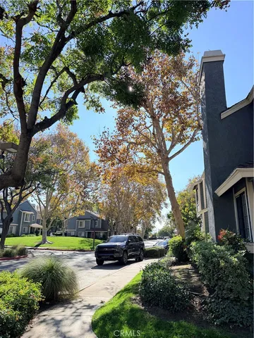 a view of a yard with plants and trees