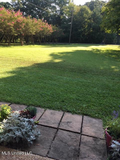 300 Bob White Lane Ridgeland, MS 39157 - Photo 32 of 32 33 Yard Guest front lawn