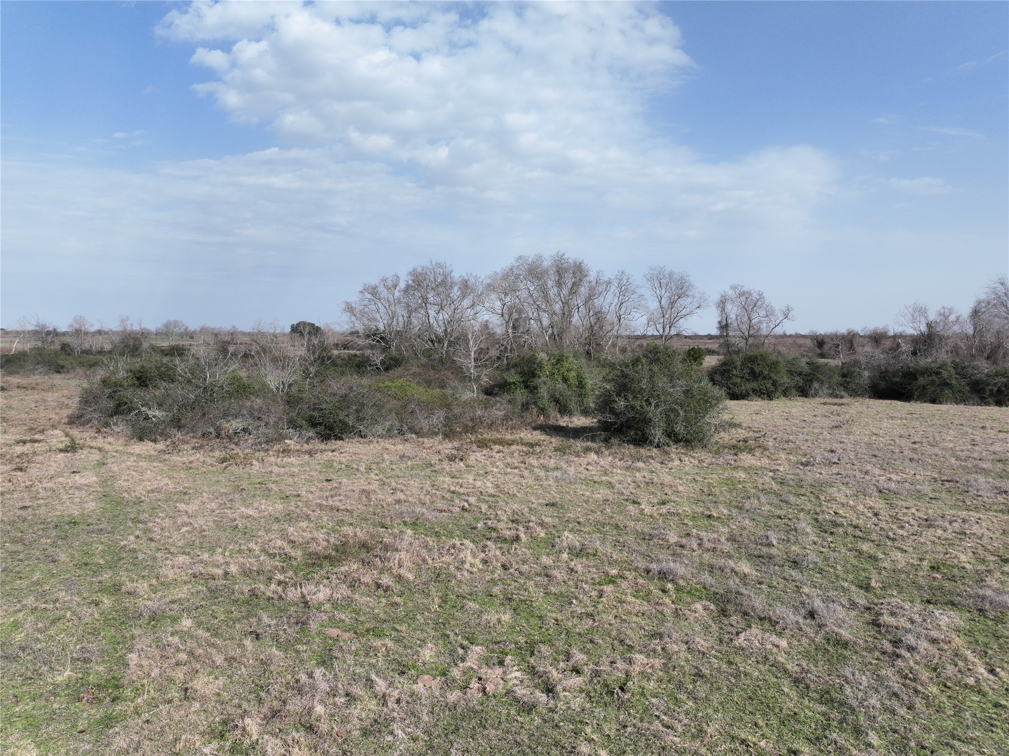 0 Schindler Road Alleyton, TX 78935 - Photo 26 of 39 Property is partially cleared and has native grasses.