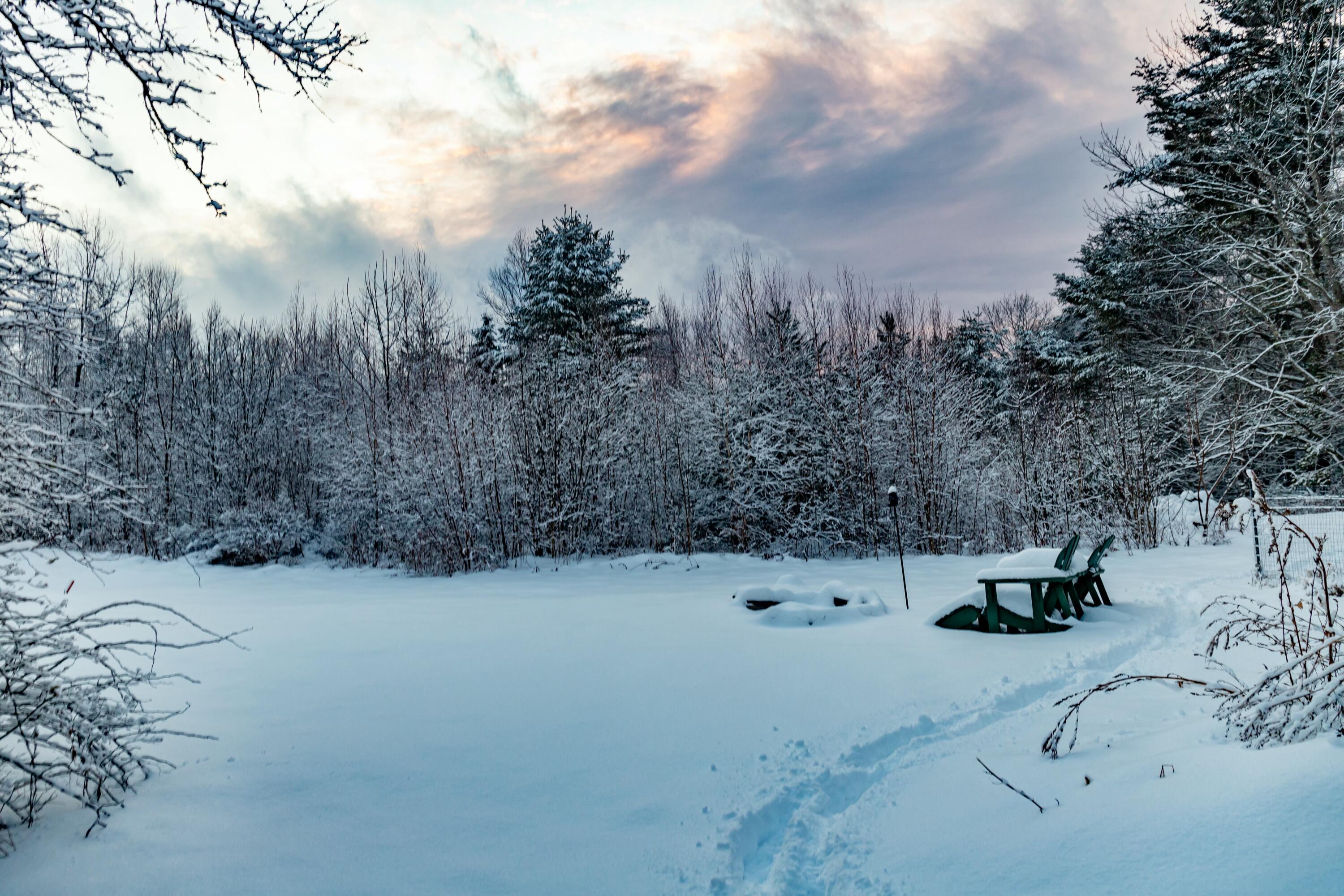 2076 Mann Hill Road Dedham, ME 04429 - Photo 16 of 81 tempImageaVlpCG