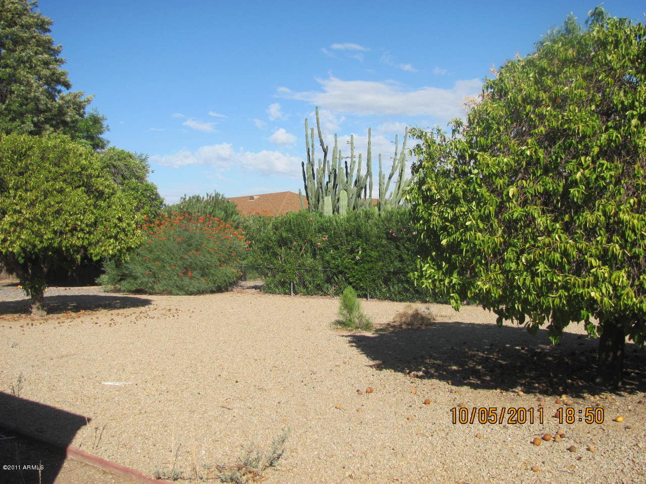 15401 North Ridgeview Road Sun City, AZ 85351 - Photo 10 of 10 backyard