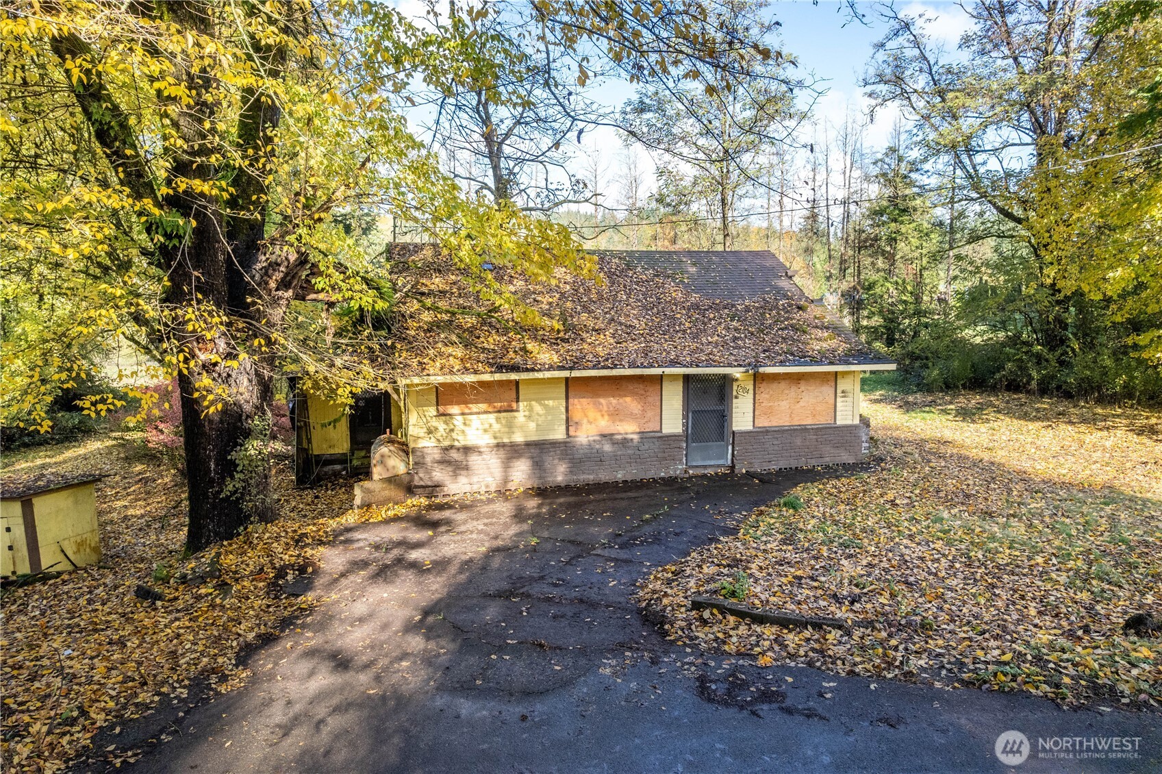 2104 Delameter Road Castle Rock, WA 98611 - Photo 3 of 13 a view of a yard with large trees