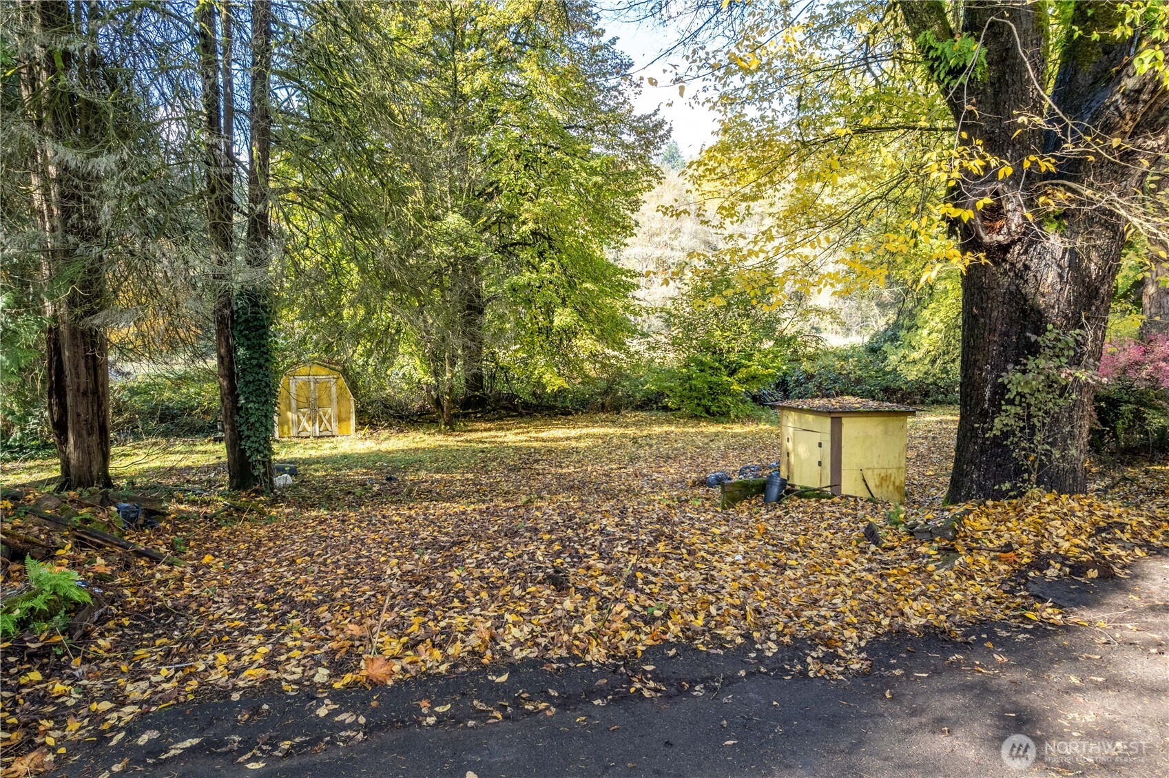 2104 Delameter Road Castle Rock, WA 98611 - Photo 4 of 13 a backyard of a house with lots of green space