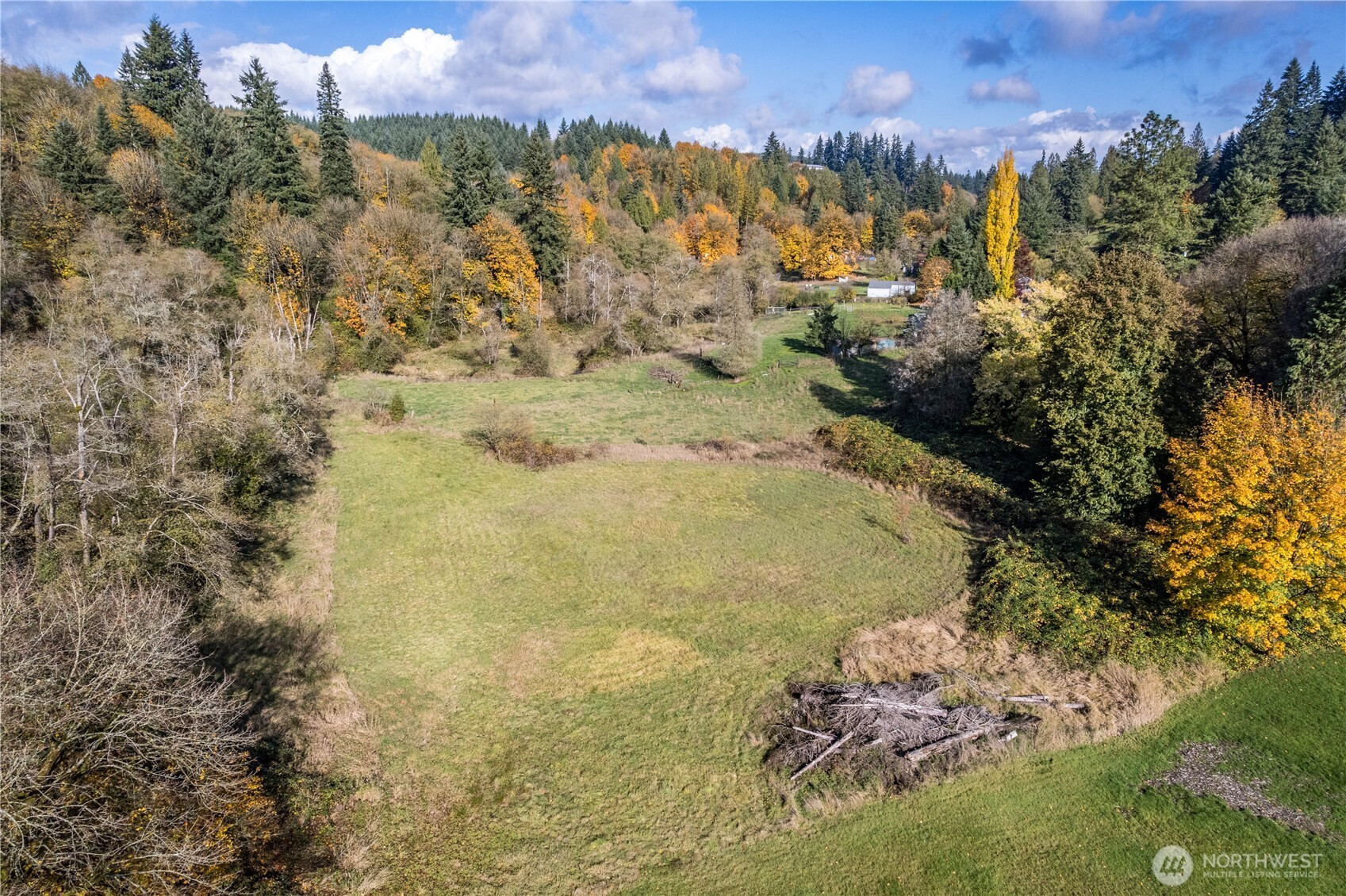 2104 Delameter Road Castle Rock, WA 98611 - Photo 6 of 13