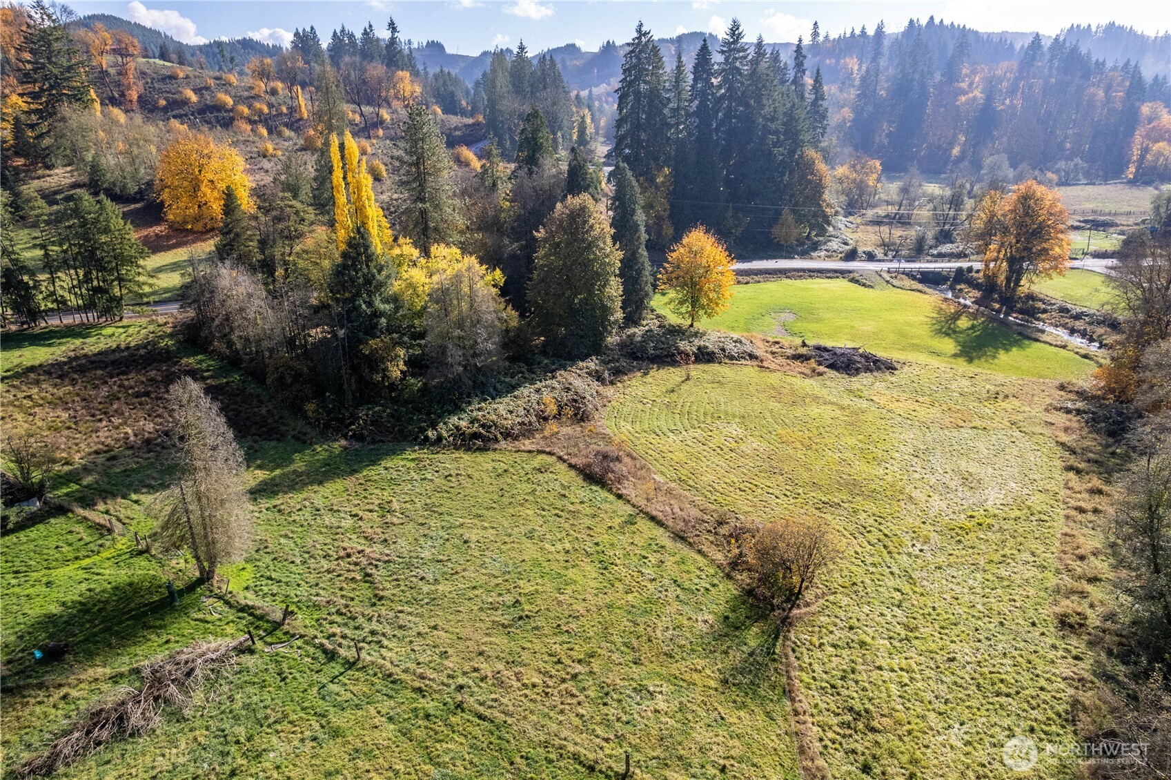 2104 Delameter Road Castle Rock, WA 98611 - Photo 7 of 13 a view of a swimming pool with a yard and mountain view