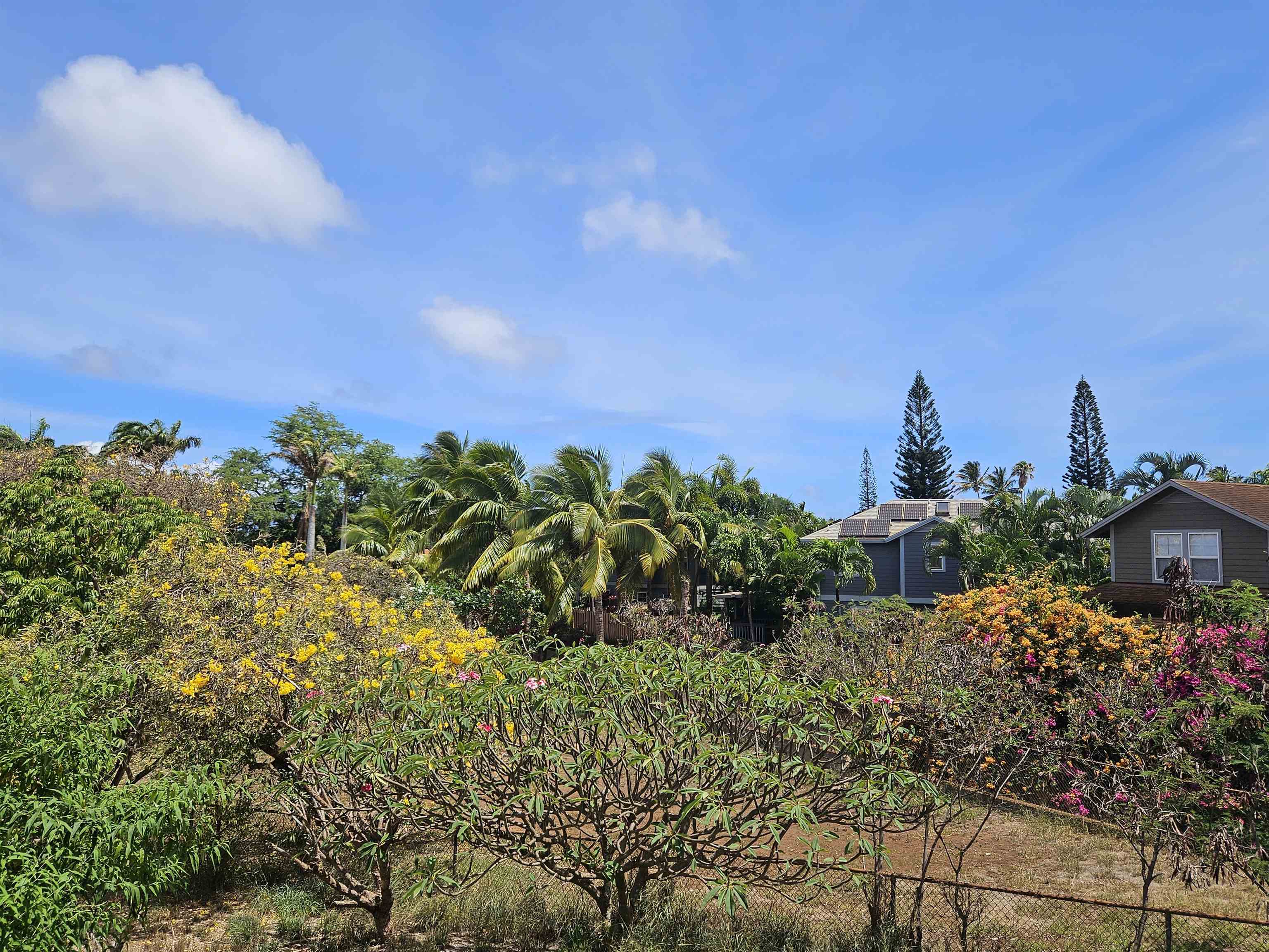 3808 Lower Honoapiilani Road Lahaina, HI 96761 - Photo 31 of 34