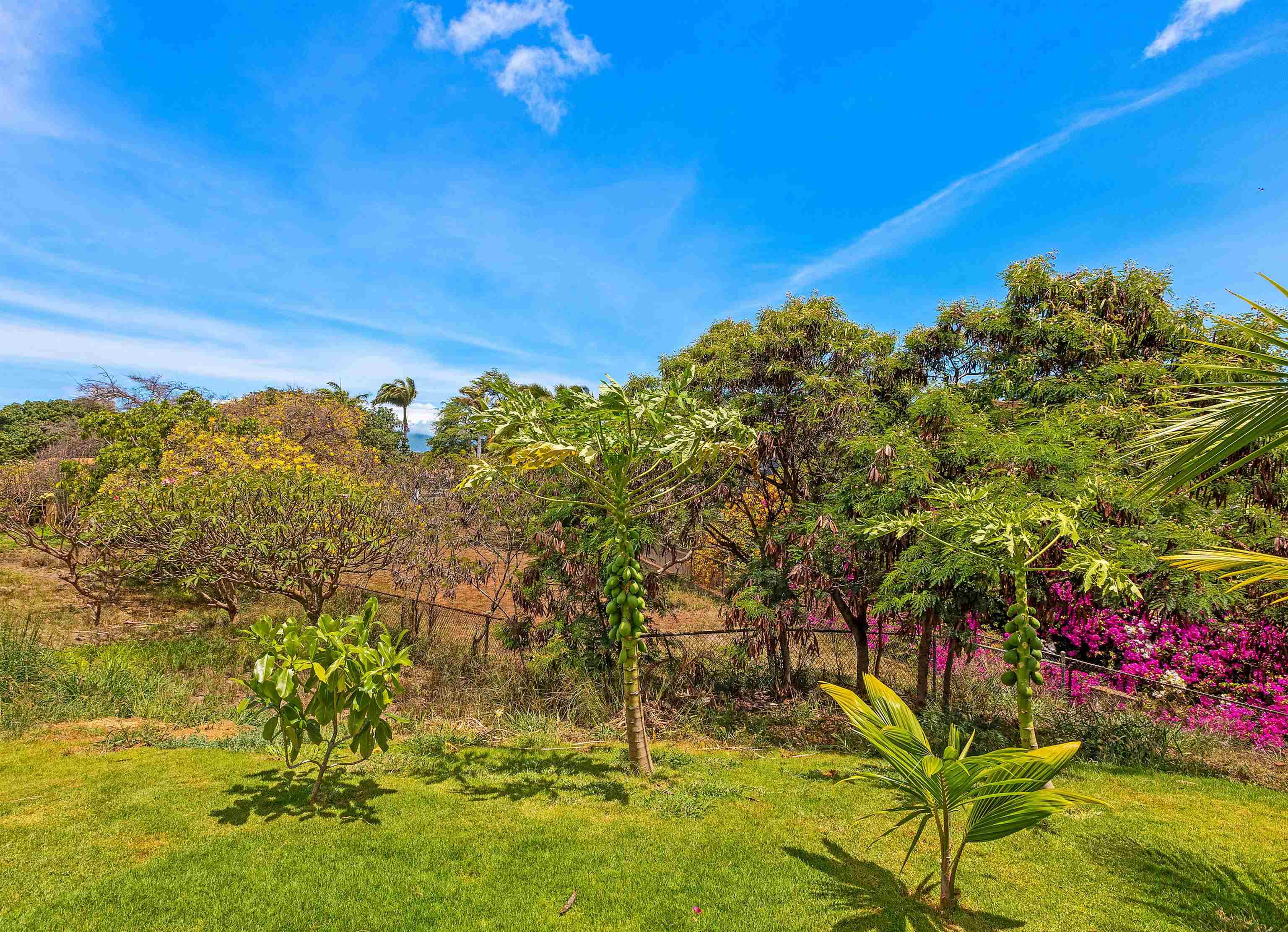 3808 Lower Honoapiilani Road Lahaina, HI 96761 - Photo 6 of 34