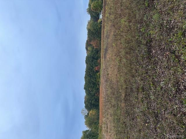 0 Clark Road Ypsilanti, MI 48198 - Photo 1 of 1