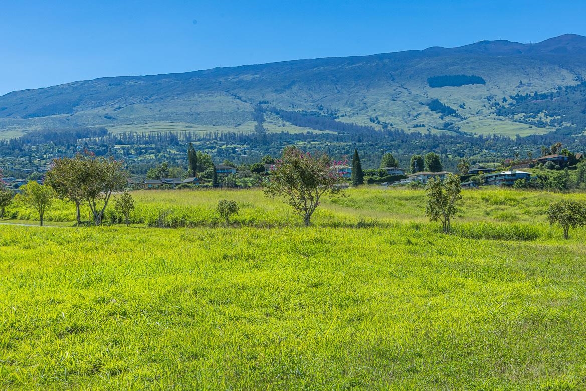 144 Kula Io Road, Unit LOT #27 Kula, HI 96790 - Photo 15 of 22