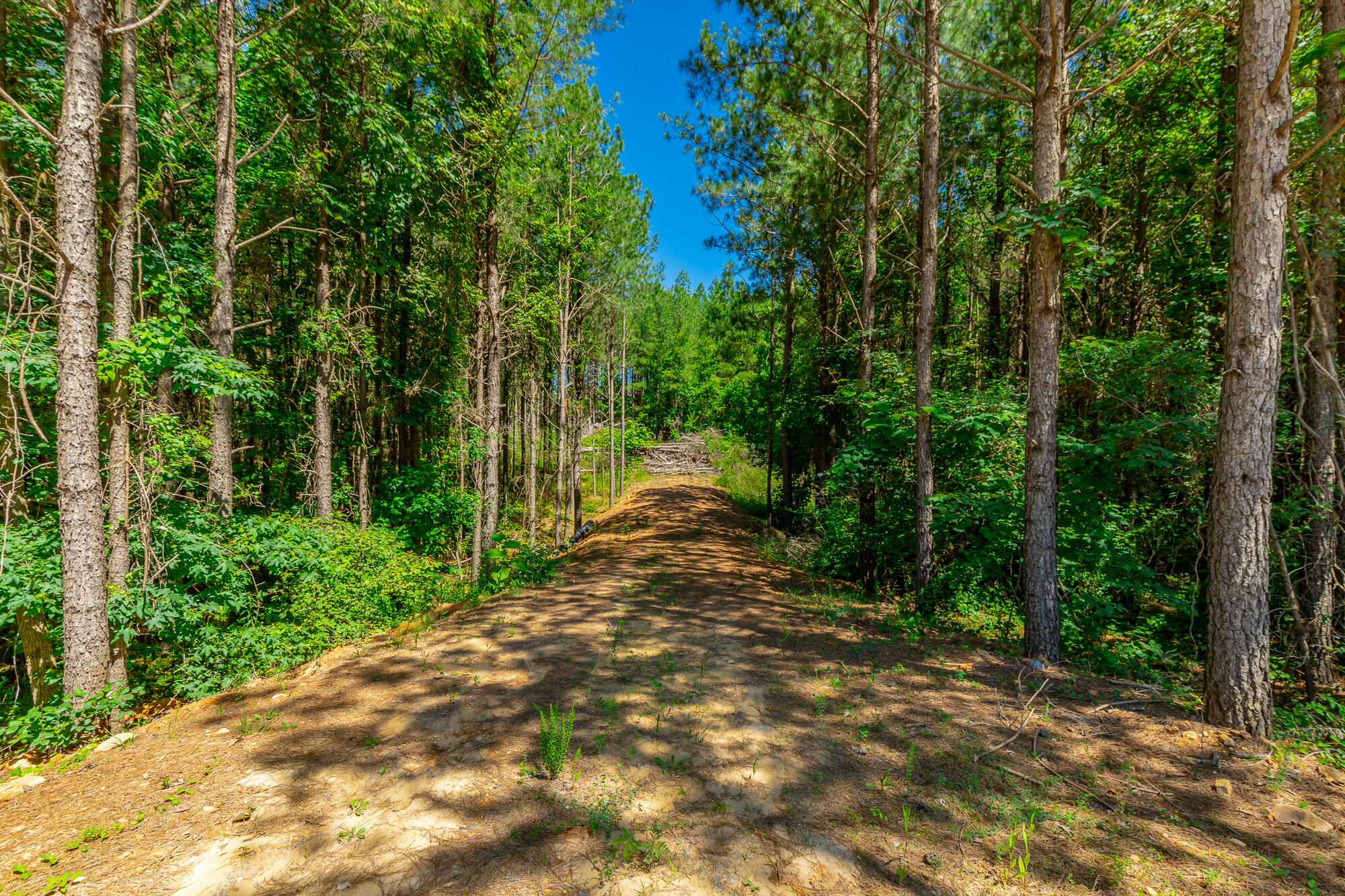 0 Split Rail Way, Unit LOT 1163 Guild, TN 37340 - Photo 2 of 118 River Gorge Lot 1163 HD-14