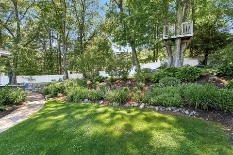 a view of a back yard