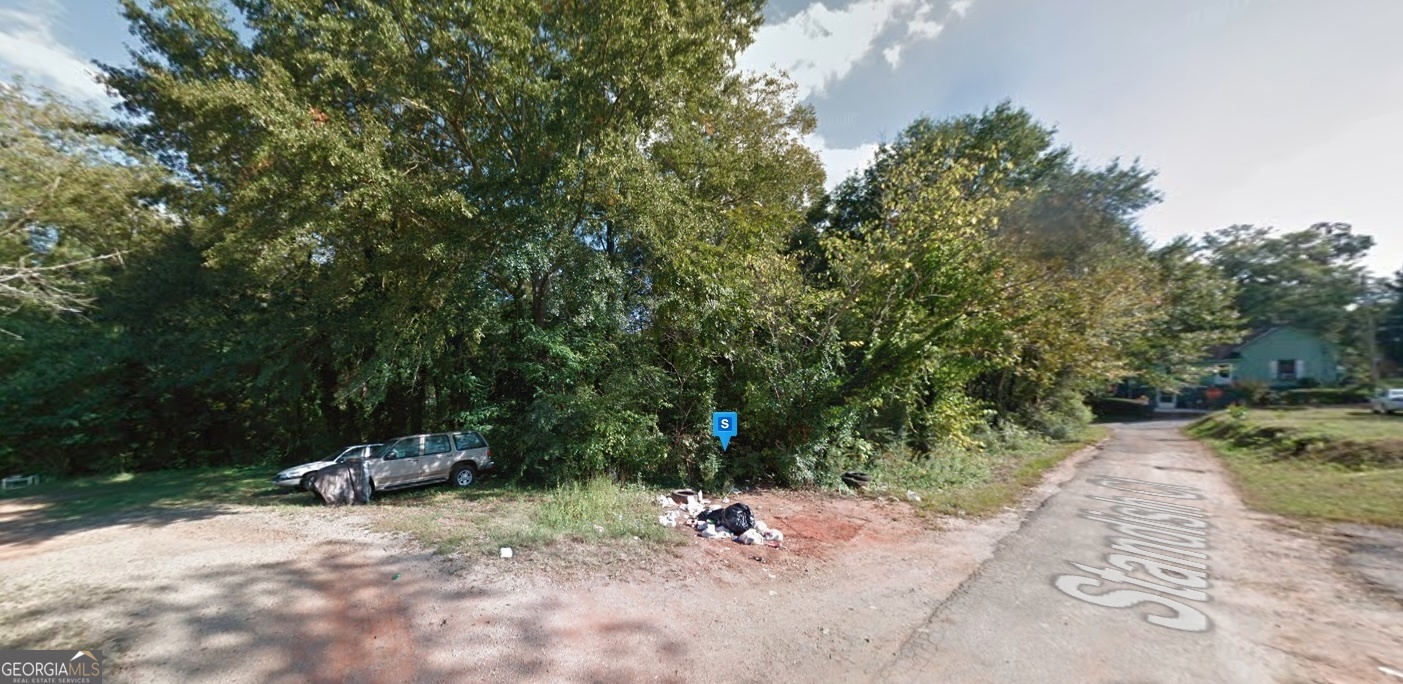 13 Standish Court Newnan, GA 30263 - Photo 2 of 6 a view of a park with of trees