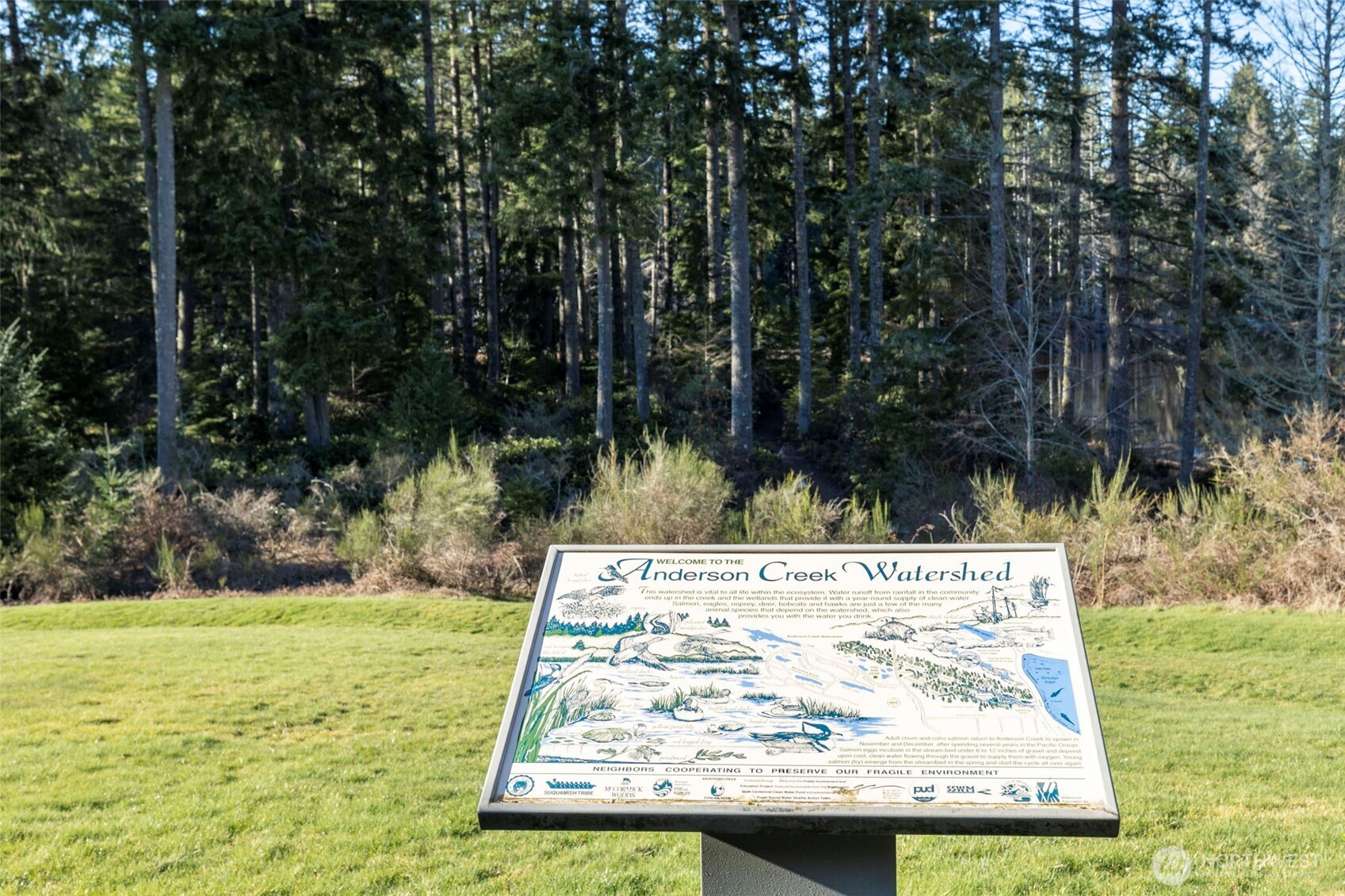 7033 Prestwick Lane Southwest Port Orchard, WA 98367 - Photo 34 of 39 a view of a park with large trees