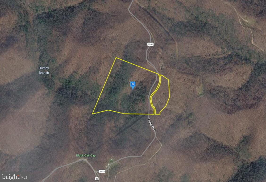 111 Beechy Br Road Dunlow, WV 25511 - Photo 1 of 4