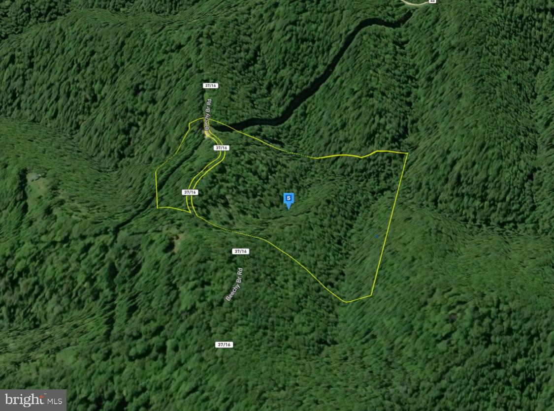 111 Beechy Br Road Dunlow, WV 25511 - Photo 2 of 4