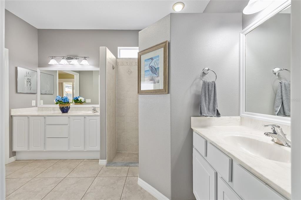 16339 Southwest 14th Avenue Road Ocala, FL 34473 - Photo 12 of 22 a bathroom with a sink and a mirror