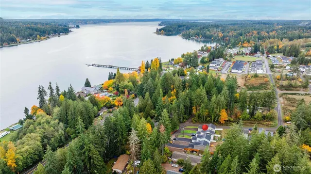 a picture of street view with lots of trees