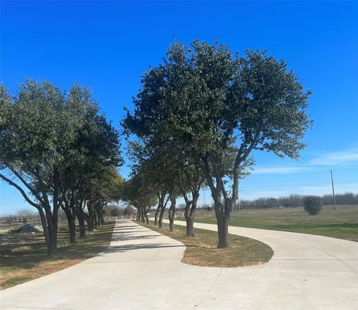 a view of street with tree s