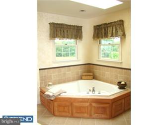 301 Chestnut Hill Road Temple, PA 19560 - Photo 9 of 12 Bathroom
