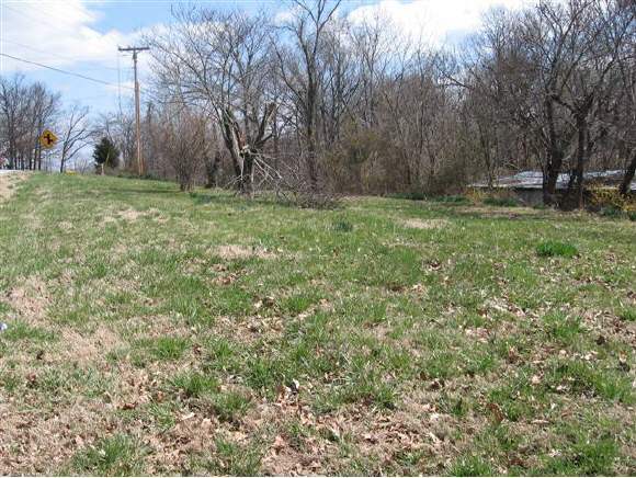 160 Hwy Reeds Spring Reeds Spring, MO 65737 - Photo 1 of 1 Primary Photo